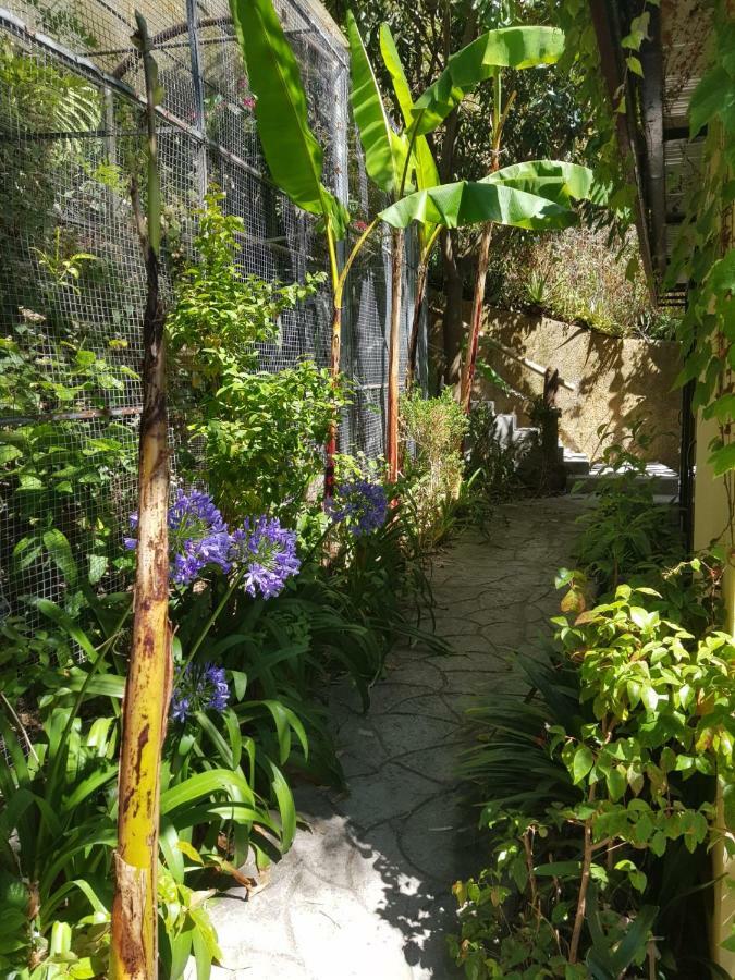 Hotel Dazk Golden Estate Ribeira Brava Esterno foto